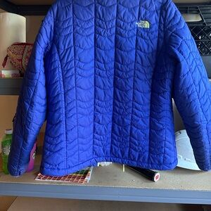 The North Face Blue Quilted Jacket